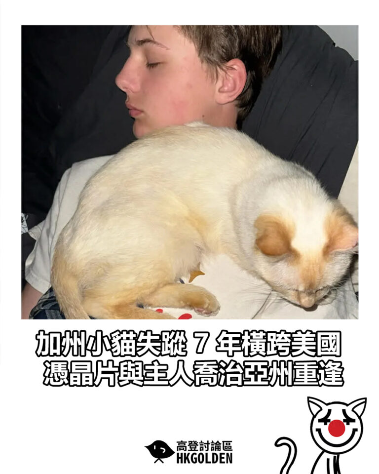 【加州小貓失蹤 7 年橫跨美國 憑晶片與主人喬治亞州重逢】 【加州小貓失蹤 7 年橫跨美國 憑晶片與主人喬治亞州重逢】