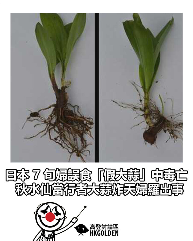 【日本 7 旬婦誤食「假大蒜」中毒亡 秋水仙當行者大蒜炸天婦羅出事】