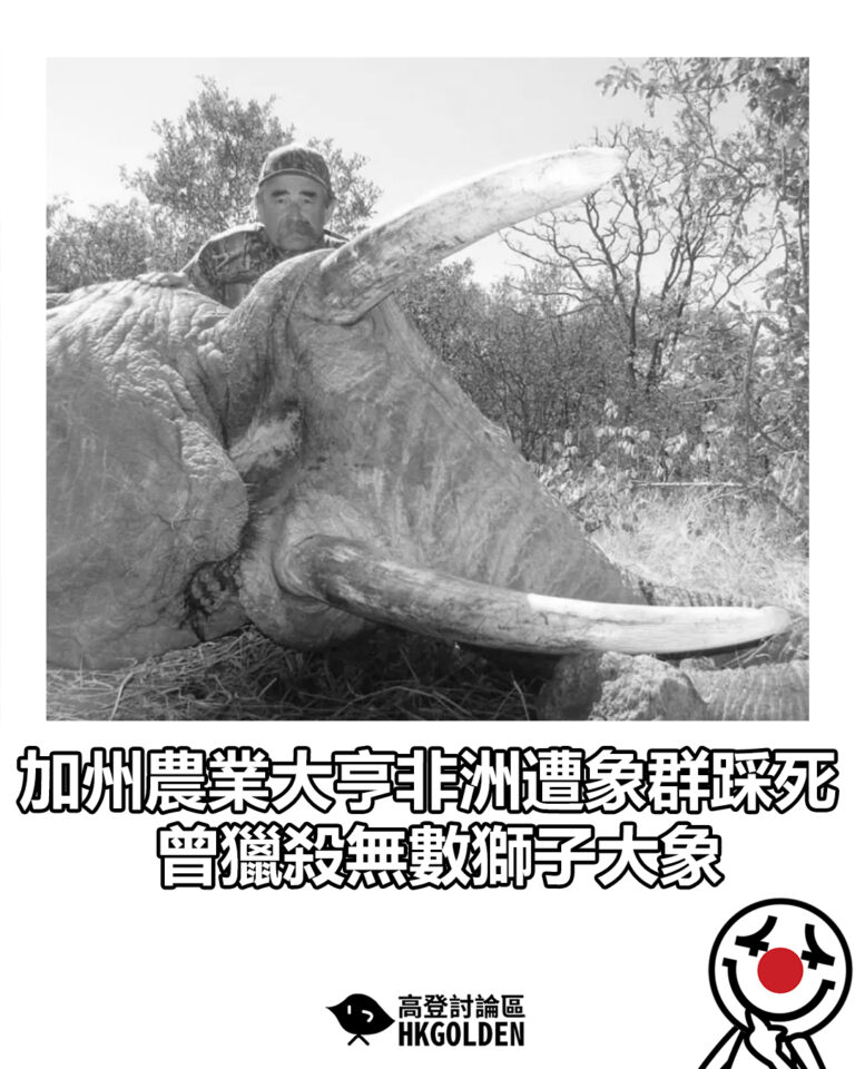 【加州農業大亨非洲遭象群踩死 曾獵殺無數獅子大象】 【加州農業大亨非洲遭象群踩死 曾獵殺無數獅子大象】