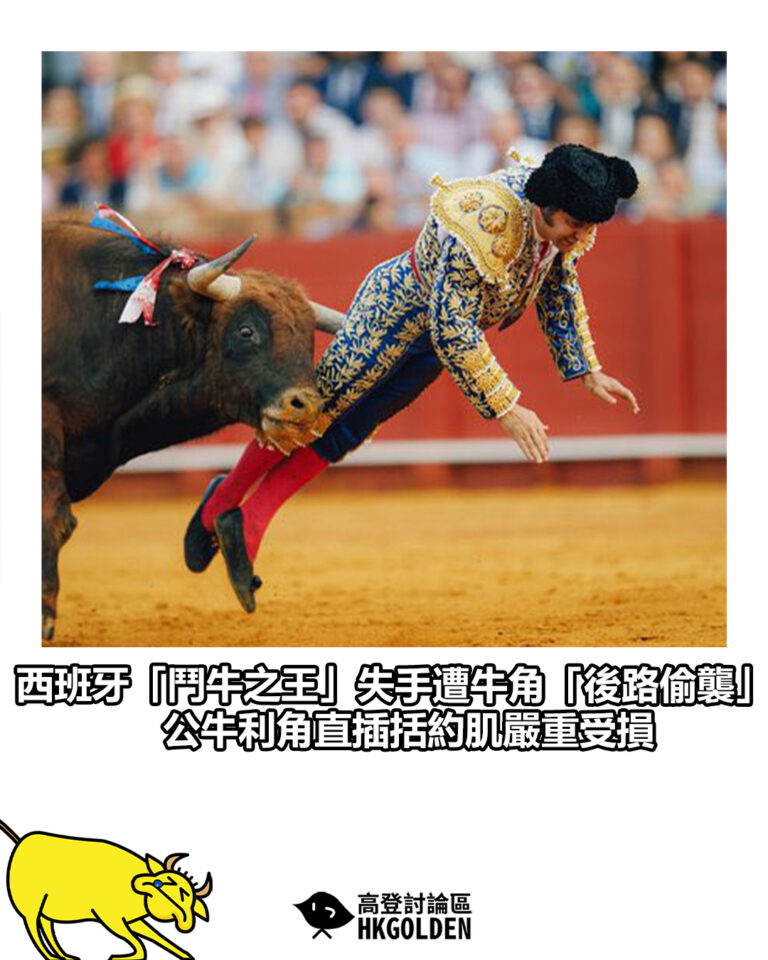 【西班牙「鬥牛之王」失手遭牛角「後路偷襲」公牛利角直插括約肌嚴重受損】