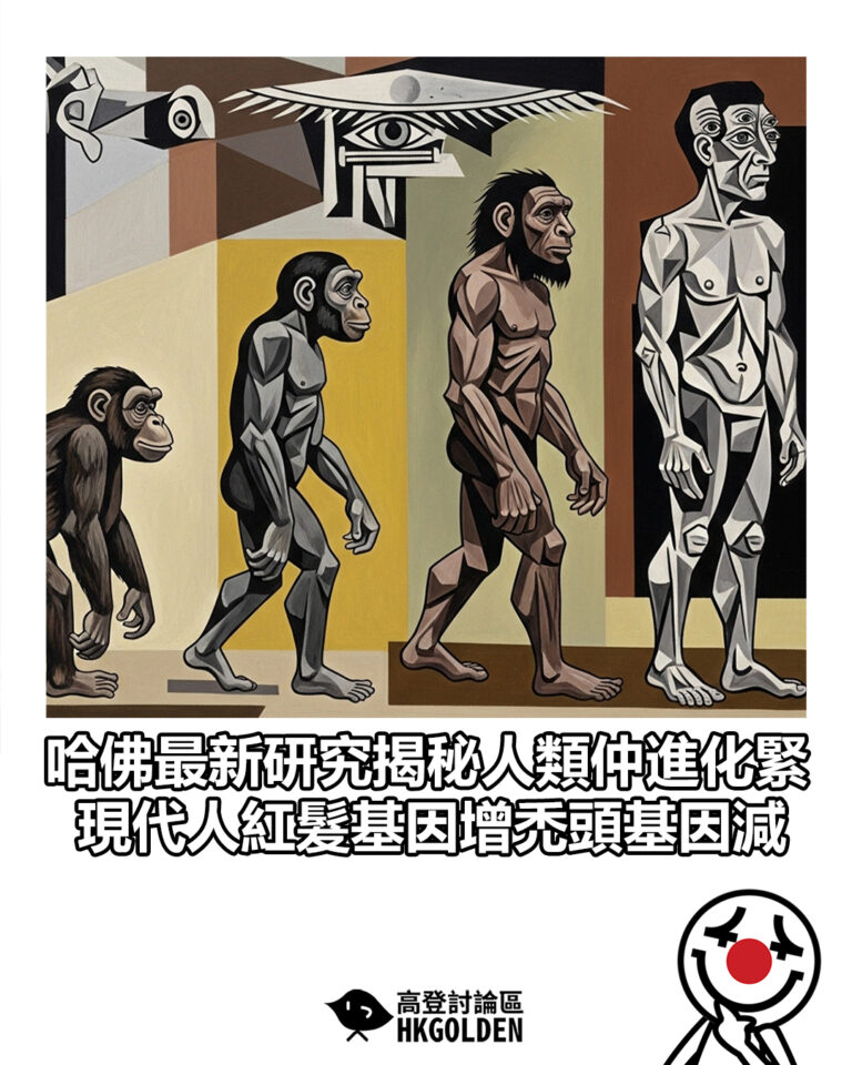 【哈佛最新研究揭秘人類仲進化緊 現代人紅髮基因增禿頭基因減】