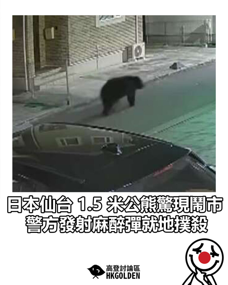 【日本仙台 1.5 米公熊驚現鬧市 警方發射麻醉彈就地撲殺】