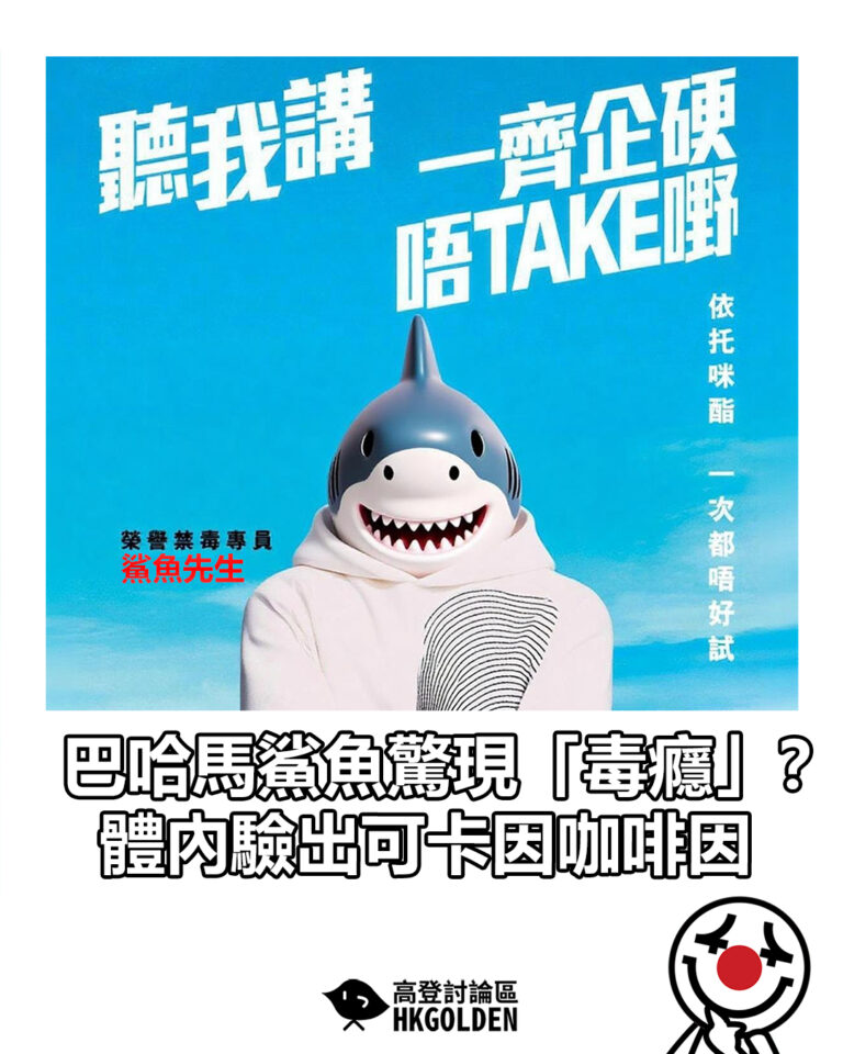【巴哈馬鯊魚驚現「毒癮」? 體內驗出可卡因咖啡因】 【巴哈馬鯊魚驚現「毒癮」? 體內驗出可卡因咖啡因】