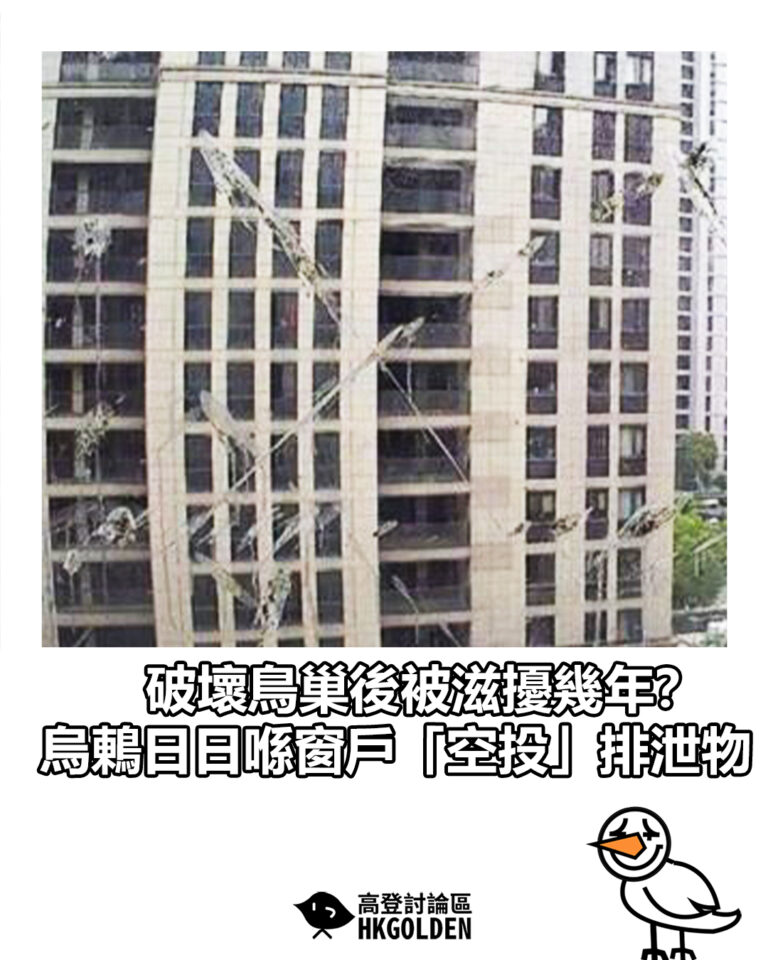 【破壞鳥巢後被滋擾幾年?烏鶇日日喺窗戶「空投」排泄物】 【破壞鳥巢後被滋擾幾年?烏鶇日日喺窗戶「空投」排泄物】