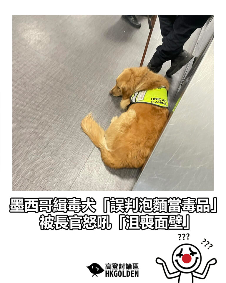 【墨西哥緝毒犬「誤判泡麵當毒品」 被長官怒吼「沮喪面壁」】 【墨西哥緝毒犬「誤判泡麵當毒品」 被長官怒吼「沮喪面壁」】