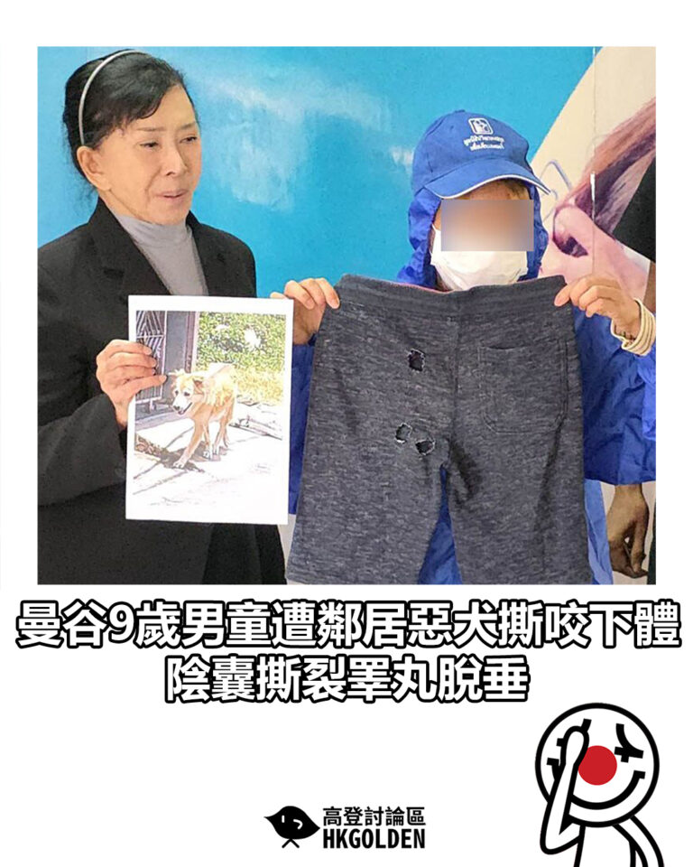 【曼谷9歲男童遭鄰居惡犬撕咬下體 陰囊撕裂睪丸脫垂】