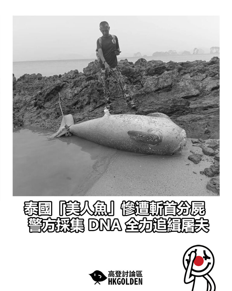 【泰國「美人魚」慘遭斬首分屍 警方採集 DNA 全力追緝屠夫】