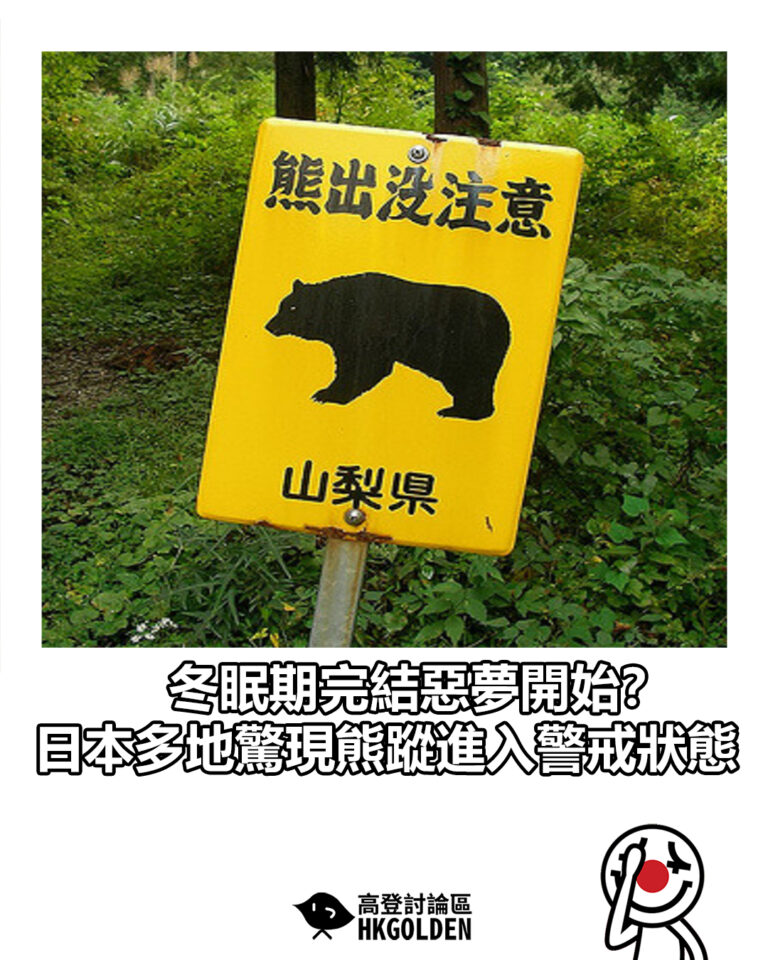 【冬眠期完結惡夢開始？ 日本多地驚現熊蹤進入警戒狀態】