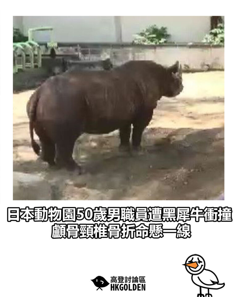 【日本動物園50歲男職員遭黑犀牛衝撞 顱骨頸椎骨折命懸一線】