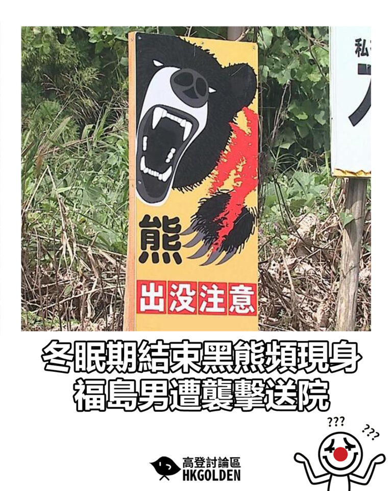 【冬眠期結束黑熊頻現身 福島男遭襲擊送院】 【冬眠期結束黑熊頻現身 福島男遭襲擊送院】