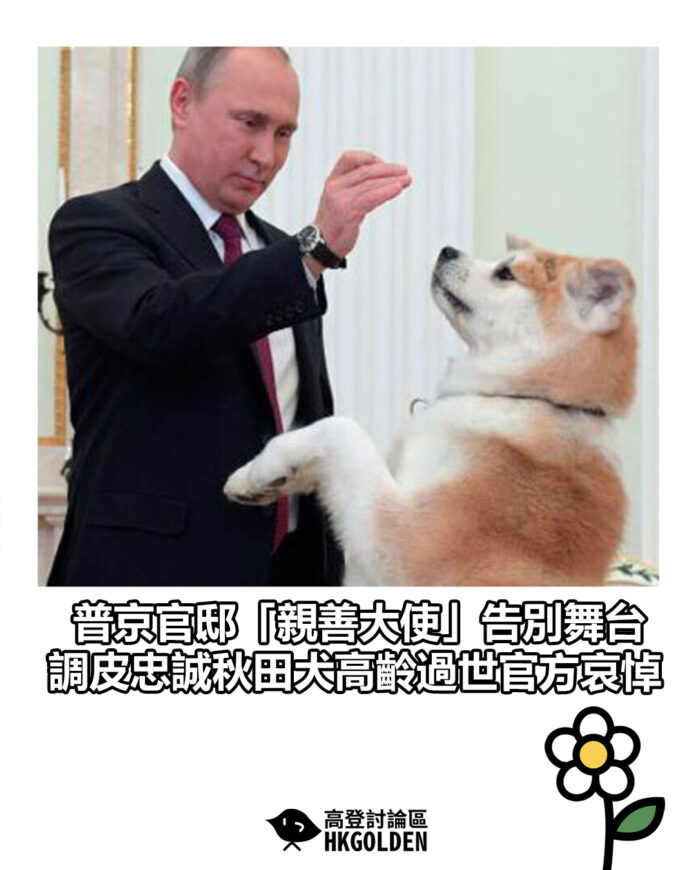bfdfdsgsdgg