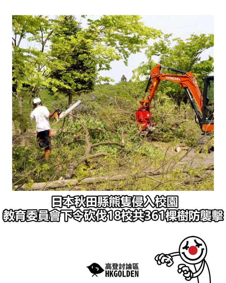 【日本秋田縣熊隻侵入校園  教育委員會下令砍伐18校共361棵樹防襲擊】