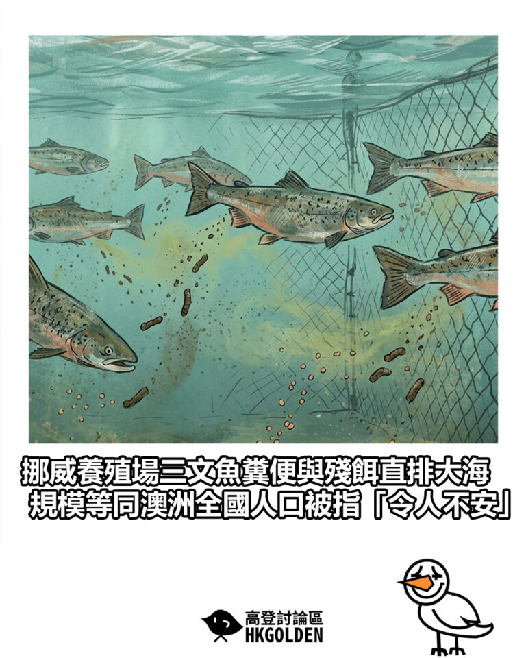 【挪威養殖場三文魚糞便與殘餌直排大海  規模等同澳洲全國人口被指「令人不安」】