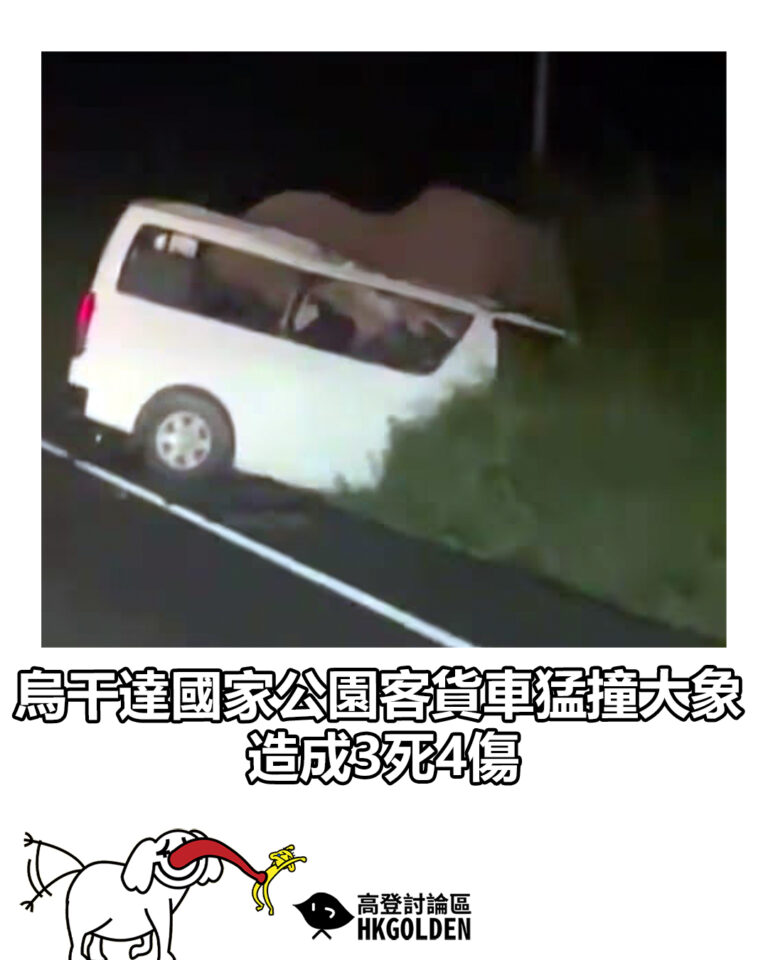 【烏干達國家公園客貨車猛撞大象 造成3死4傷】 【烏干達國家公園客貨車猛撞大象 造成3死4傷】