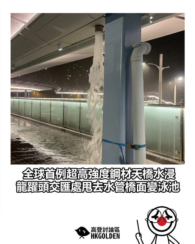 【全球首例超高強度鋼材天橋水浸 龍躍頭交匯處甩去水管橋面變泳池】