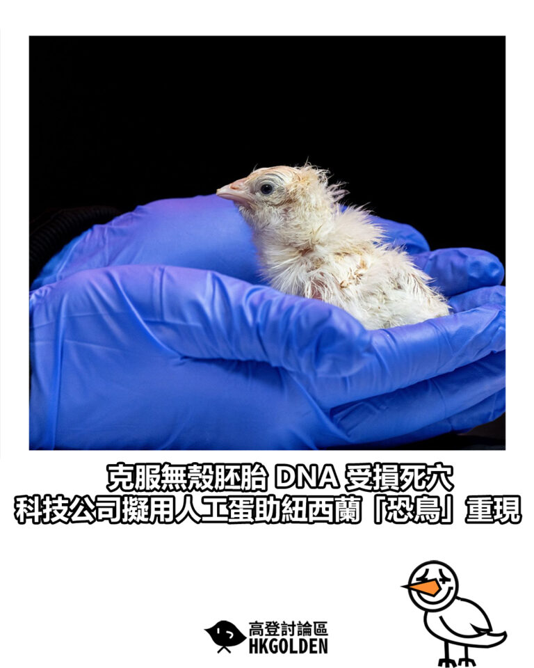 【克服無殼胚胎 DNA 受損死穴　科技公司擬用人工蛋助紐西蘭「恐鳥」重現】