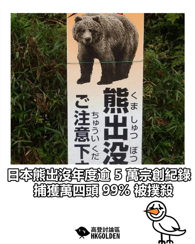 【日本熊出沒年度逾 5 萬宗創紀錄 捕獲萬四頭 99% 被撲殺】 【日本熊出沒年度逾 5 萬宗創紀錄 捕獲萬四頭 99% 被撲殺】