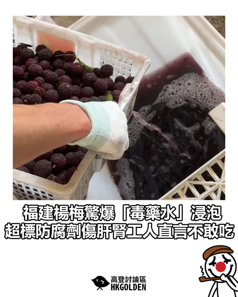【福建楊梅驚爆「毒藥水」浸泡 超標防腐劑傷肝腎工人直言不敢吃】 【福建楊梅驚爆「毒藥水」浸泡 超標防腐劑傷肝腎工人直言不敢吃】
