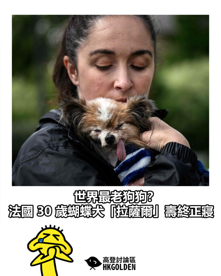 【世界最老狗狗? 法國 30 歲蝴蝶犬「拉薩爾」壽終正寢】 【世界最老狗狗? 法國 30 歲蝴蝶犬「拉薩爾」壽終正寢】