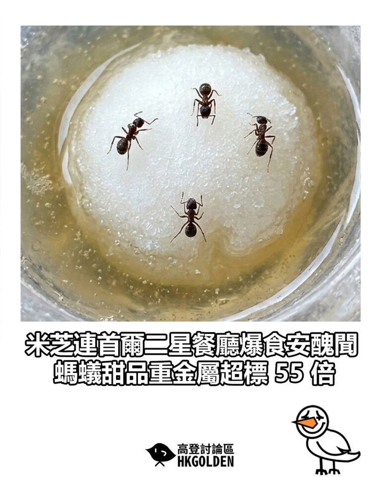 【米芝連首爾二星餐廳爆食安醜聞   螞蟻甜品重金屬超標 55 倍】