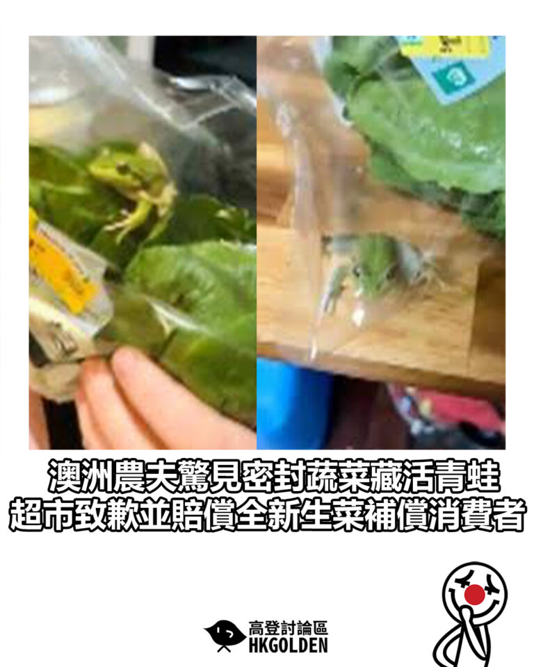 【澳洲農夫驚見密封蔬菜藏活青蛙 超市致歉並賠償全新生菜補償消費者】