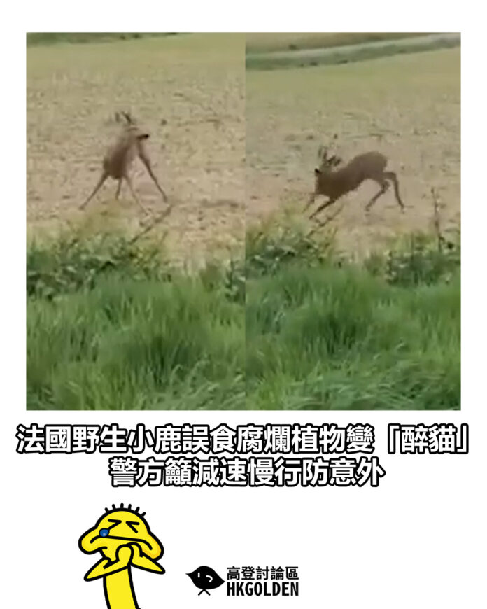 fdhdfhfdh