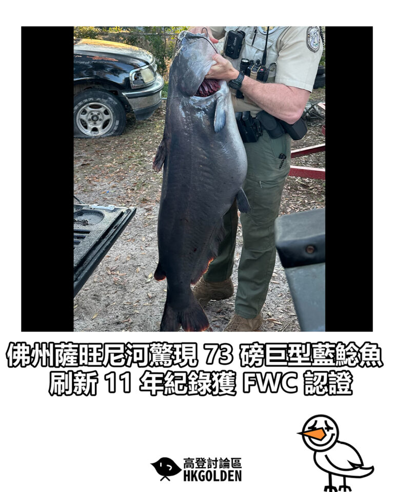 【佛州薩旺尼河驚現 73 磅巨型藍鯰魚 刷新 11 年紀錄獲 FWC 認證】 【佛州薩旺尼河驚現 73 磅巨型藍鯰魚 刷新 11 年紀錄獲 FWC 認證】