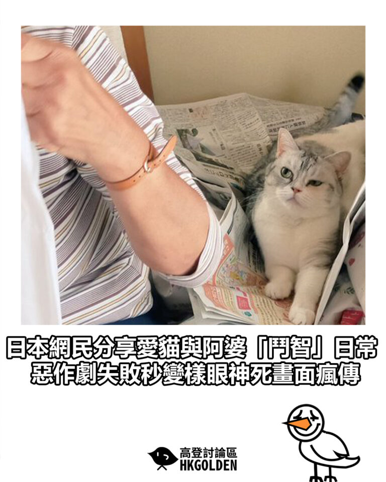 【日本網民分享愛貓與阿婆「鬥智」日常　惡作劇失敗秒變樣眼神死畫面瘋傳】