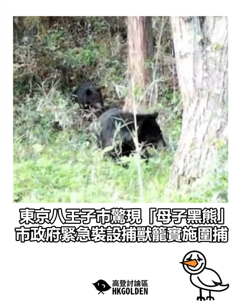 【東京八王子市驚現「母子黑熊」 市政府緊急裝設捕獸籠實施圍捕】 【東京八王子市驚現「母子黑熊」 市政府緊急裝設捕獸籠實施圍捕】