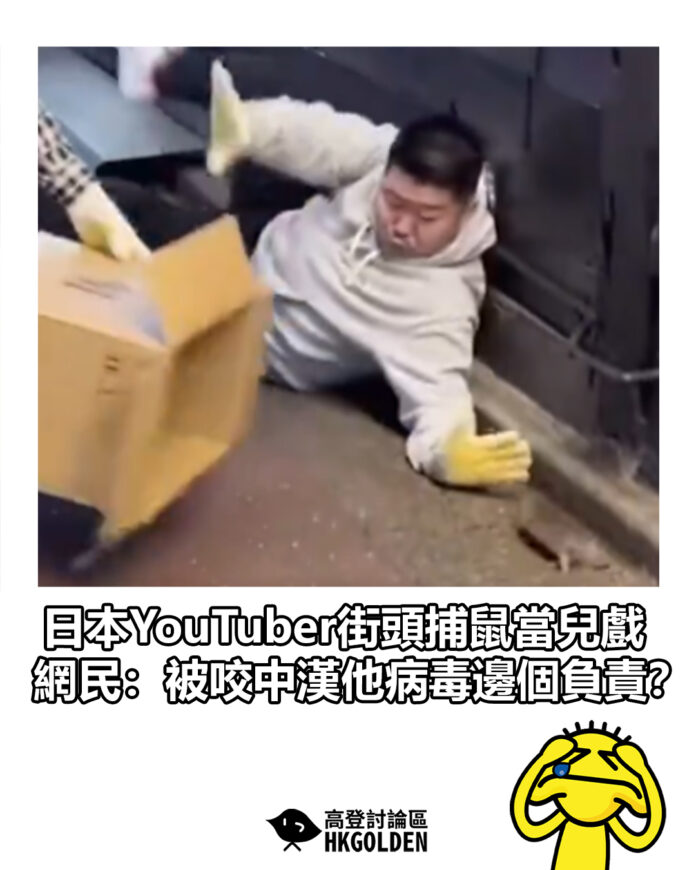 hrfdhsdhsh