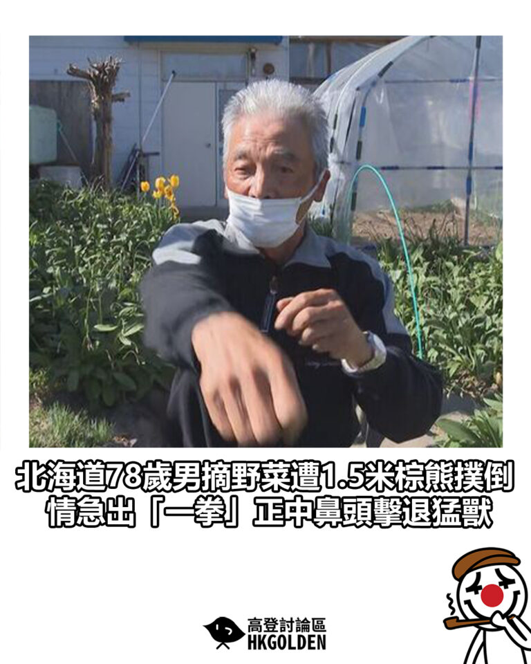 【北海道78歲男摘野菜遭1.5米棕熊撲倒 情急出「一拳」正中鼻頭擊退猛獸】 【北海道78歲男摘野菜遭1.5米棕熊撲倒 情急出「一拳」正中鼻頭擊退猛獸】