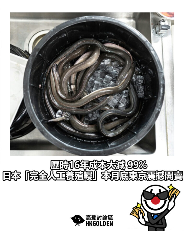 【歷時16年成本大減 99%  日本「完全人工養殖鰻」本月底東京震撼開賣】