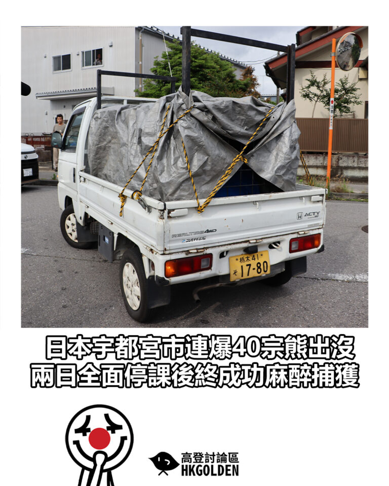 【日本宇都宮市連爆40宗熊出沒 兩日全面停課後終成功麻醉捕獲】