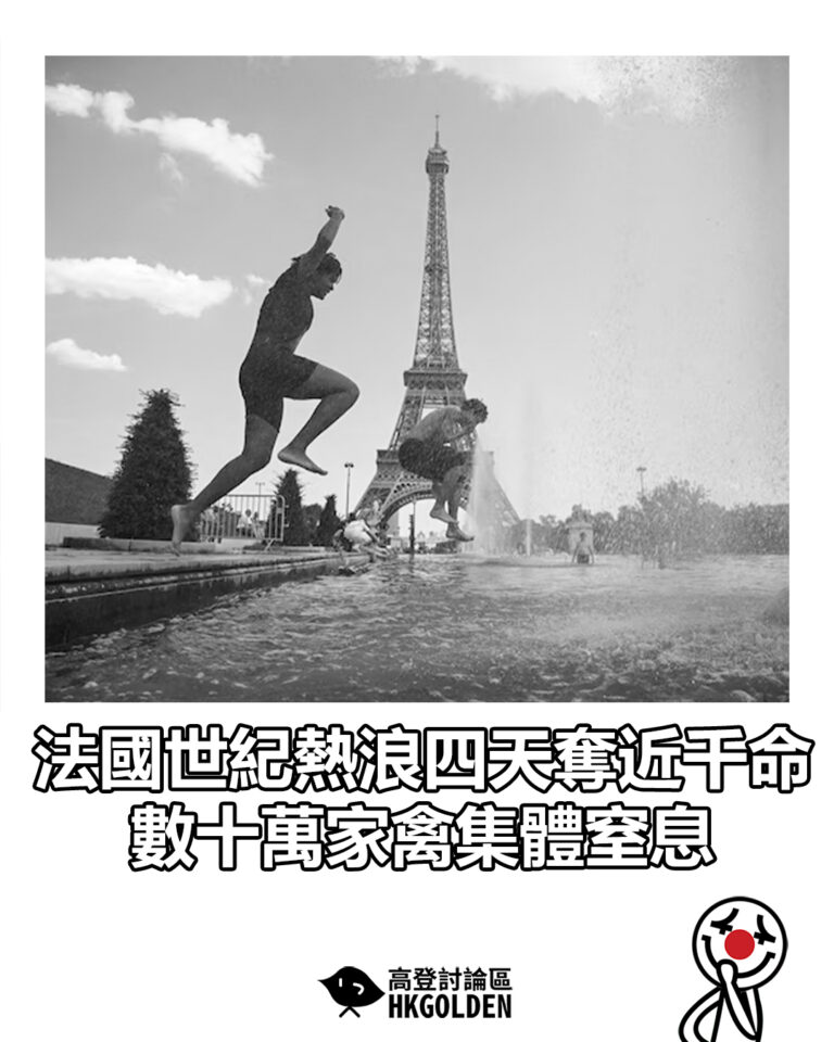 【法國世紀熱浪四天奪近千命 數十萬家禽集體窒息】