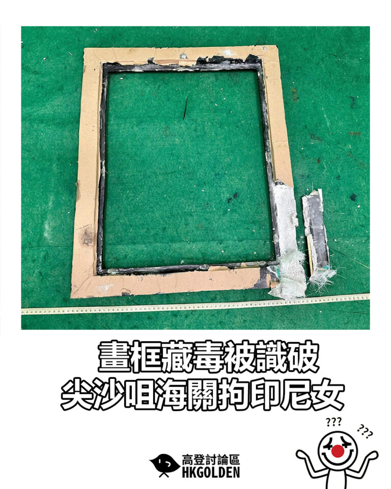 【畫框藏毒被識破 尖沙咀海關拘印尼女】
