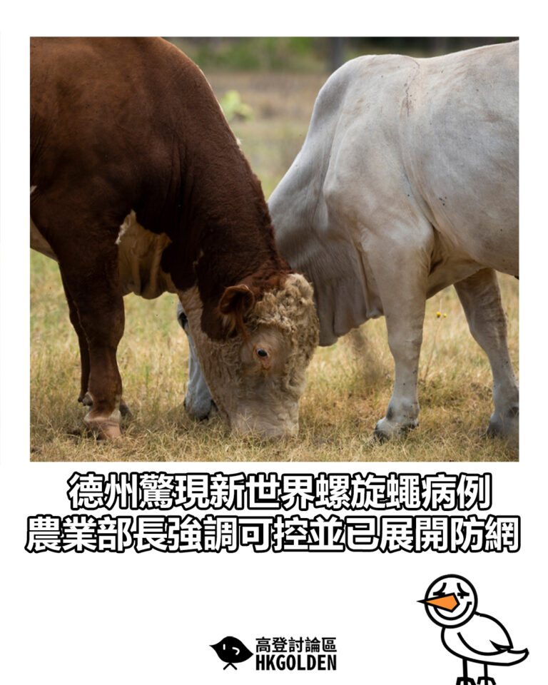 【德州驚現新世界螺旋蠅病例 農業部長強調可控並已展開防網】 【德州驚現新世界螺旋蠅病例 農業部長強調可控並已展開防網】