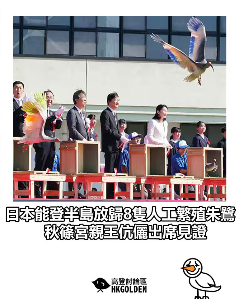 【日本能登半島放歸8隻人工繁殖朱鷺 秋篠宮親王伉儷出席見證】