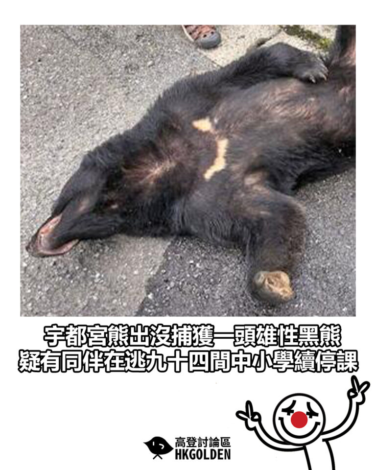【宇都宮熊出沒捕獲一頭雄性黑熊 疑有同伴在逃九十四間中小學續停課】
