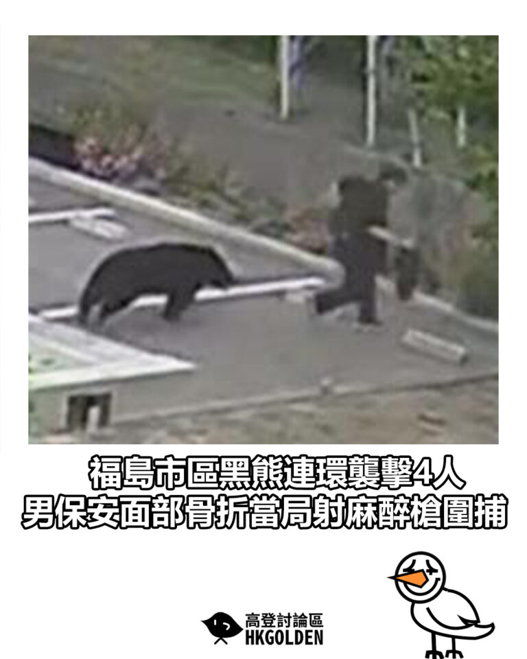 【福島市區黑熊連環襲擊4人 男保安面部骨折當局射麻醉槍圍捕】