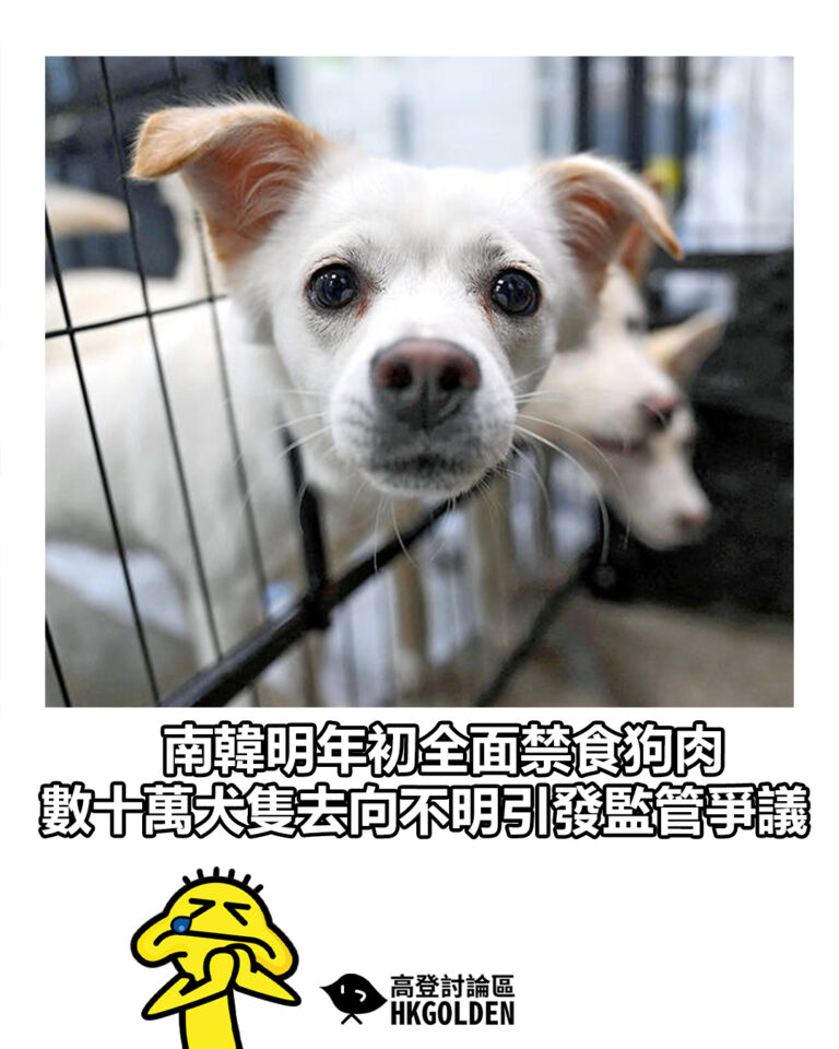 【南韓明年初全面禁食狗肉 數十萬犬隻去向不明引發監管爭議】