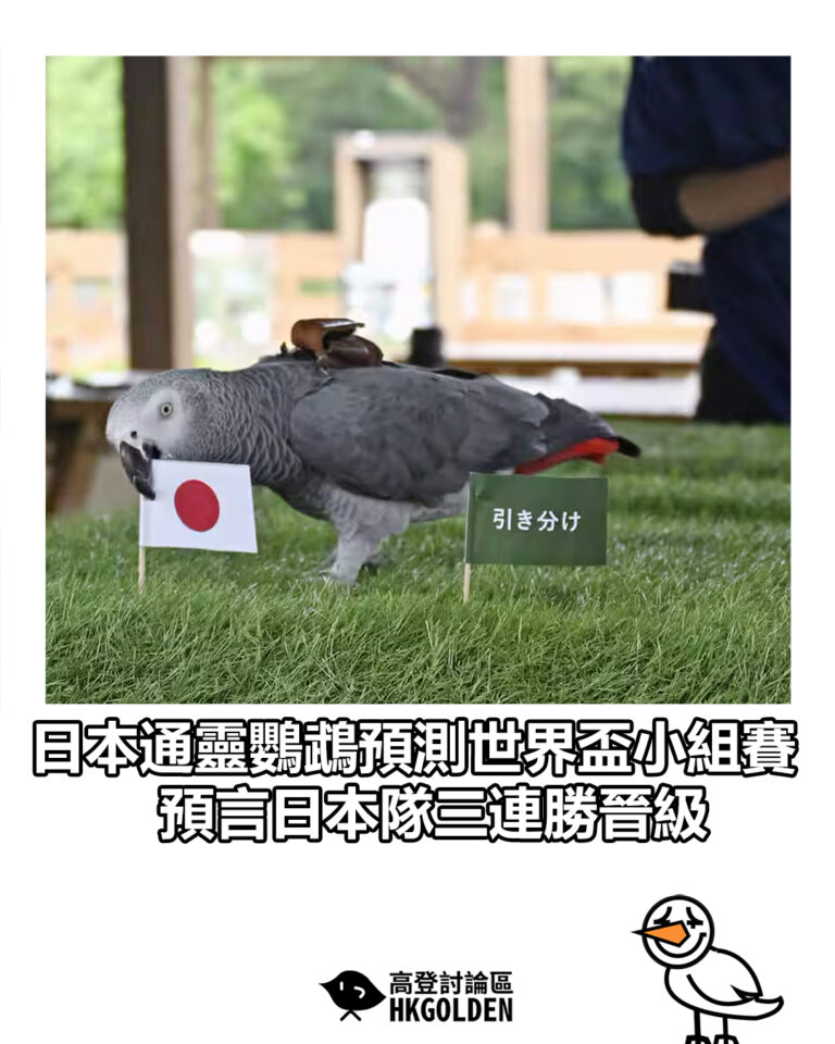 【日本通靈鸚鵡預測世界盃小組賽 預言日本隊三連勝晉級】