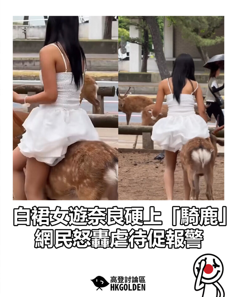 【白裙女遊奈良硬上「騎鹿」 網民怒轟虐待促報警】 【白裙女遊奈良硬上「騎鹿」 網民怒轟虐待促報警】