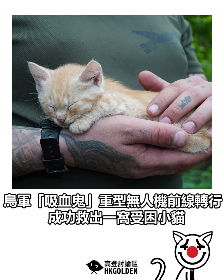 【烏軍「吸血鬼」重型無人機前線轉行 成功救出一窩受困小貓】