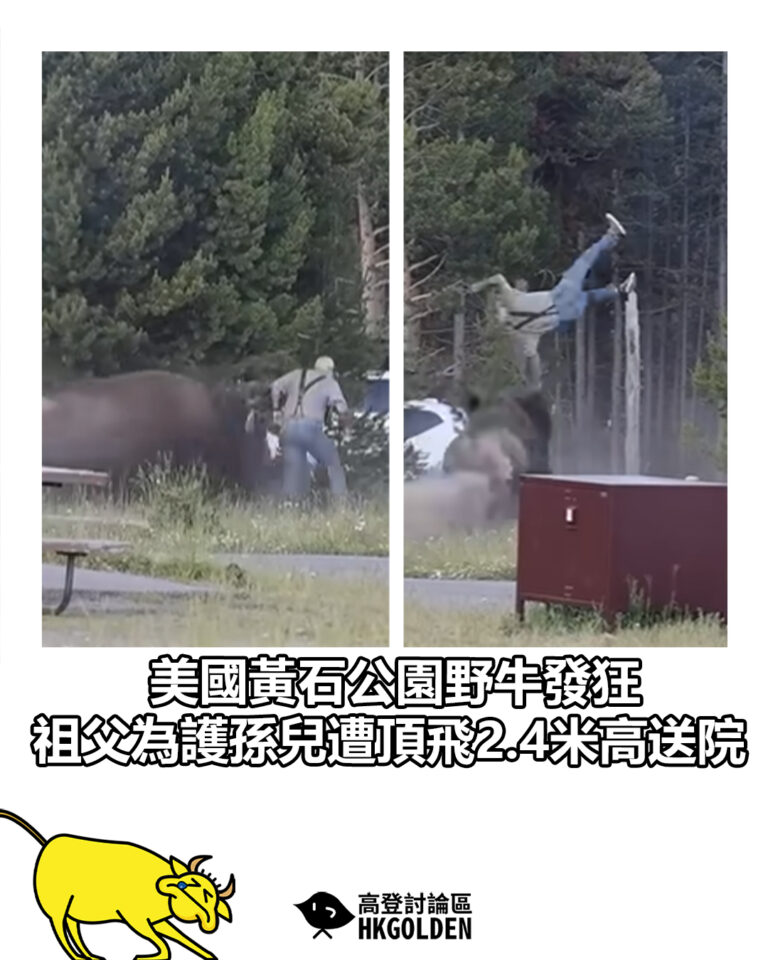 【美國黃石公園野牛發狂 祖父為護孫兒遭頂飛2.4米高送院】 【美國黃石公園野牛發狂 祖父為護孫兒遭頂飛2.4米高送院】