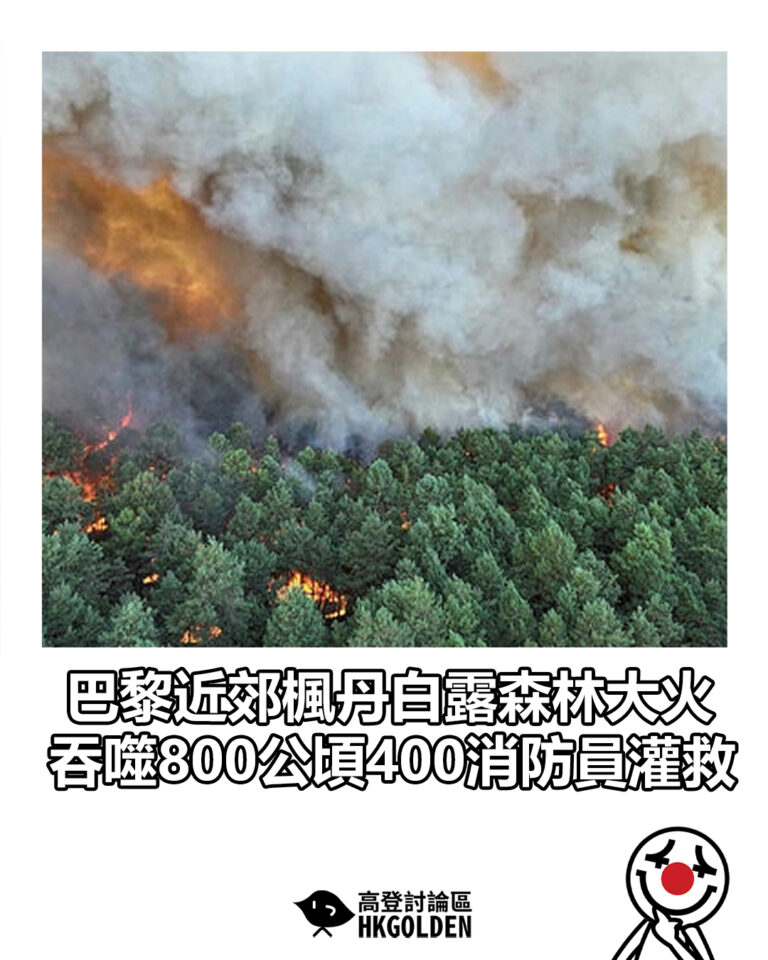 【巴黎近郊楓丹白露森林大火 吞噬800公頃400消防員灌救】