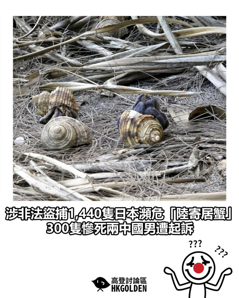 【涉非法盜捕1,440隻日本瀕危「陸寄居蟹」 300隻慘死兩中國男遭起訴 】