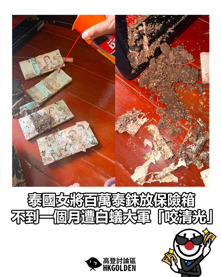 【泰國女將百萬泰銖放保險箱 不到一個月遭白蟻大軍「咬清光」】