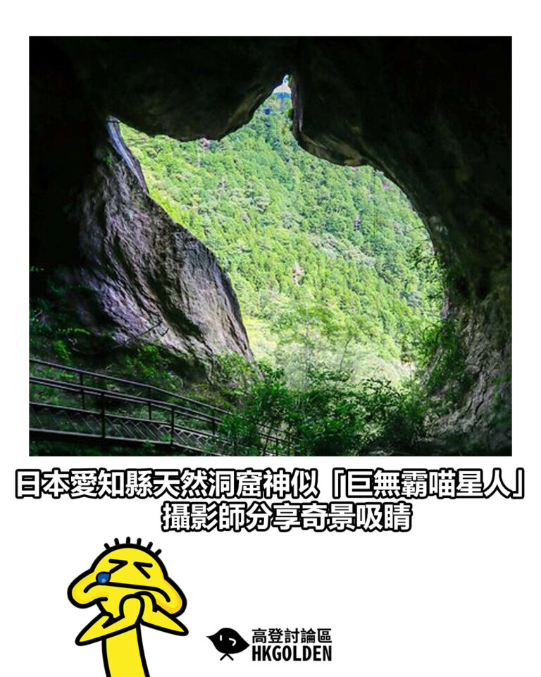 【日本愛知縣天然洞窟神似「巨無霸喵星人」 攝影師分享奇景吸睛】