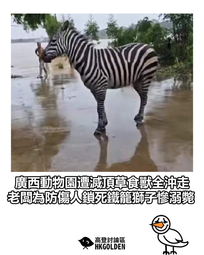 ewsgasgfas