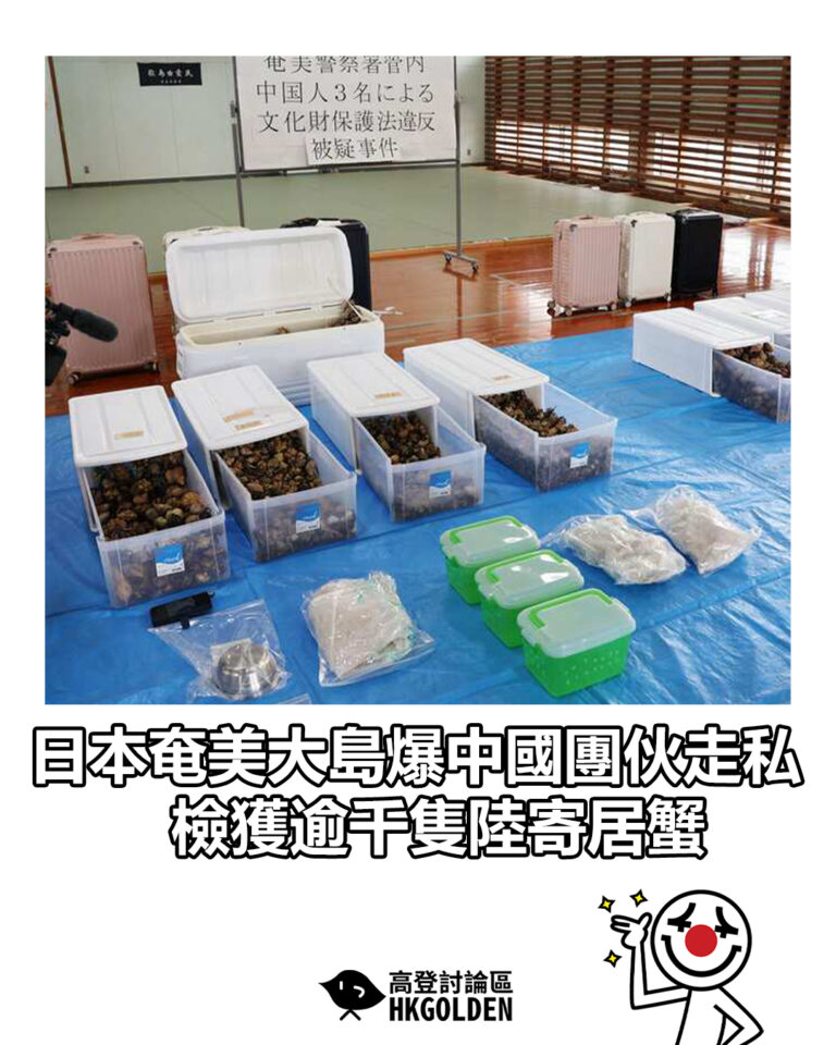 【日本奄美大島爆中國團伙走私 檢獲逾千隻陸寄居蟹】 【日本奄美大島爆中國團伙走私 檢獲逾千隻陸寄居蟹】